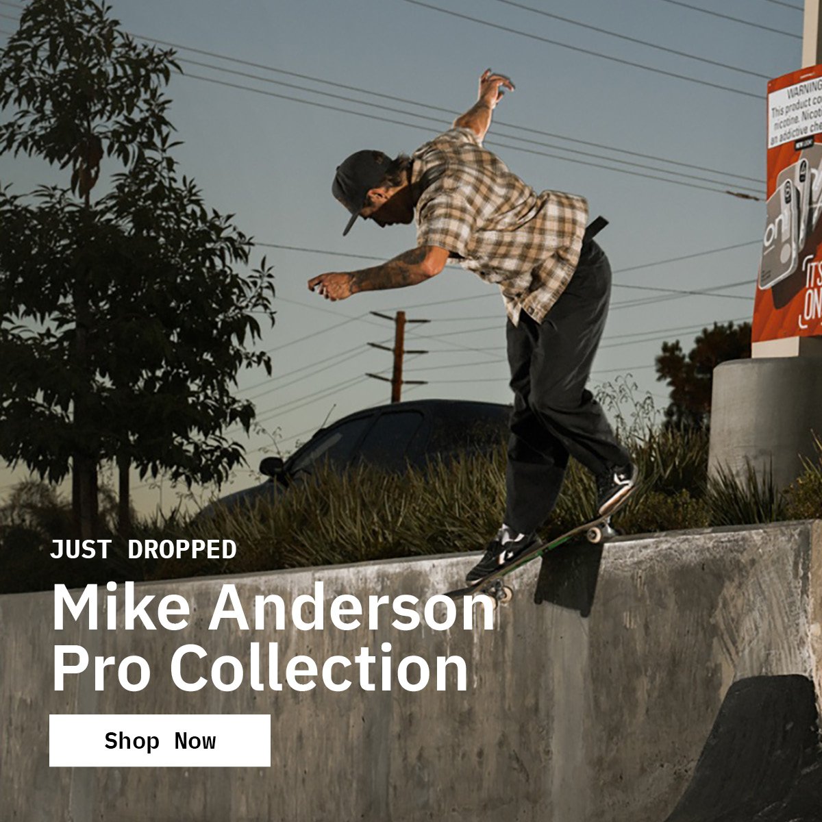 Mike Anderson