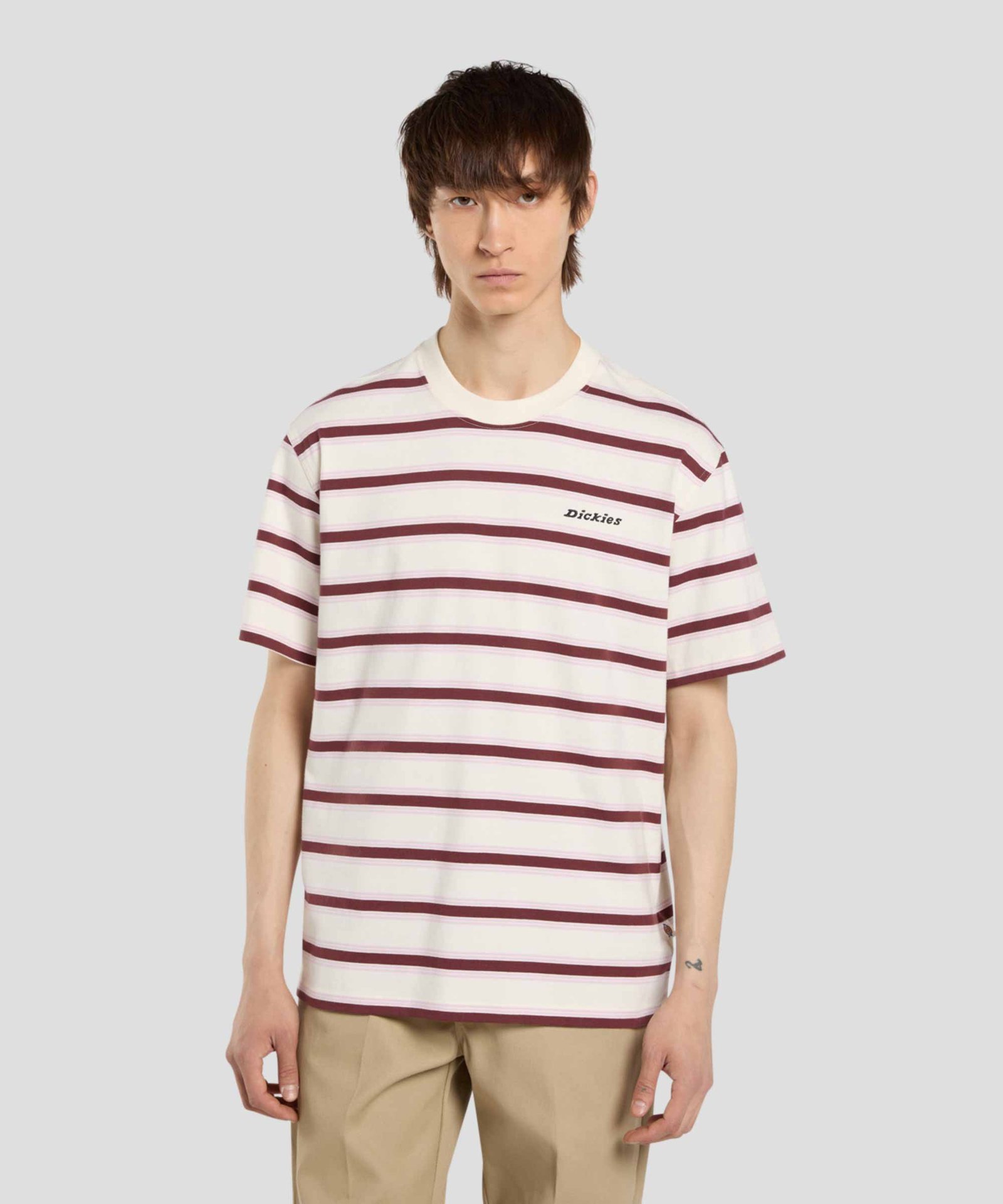 Stevensville Stripe Tee