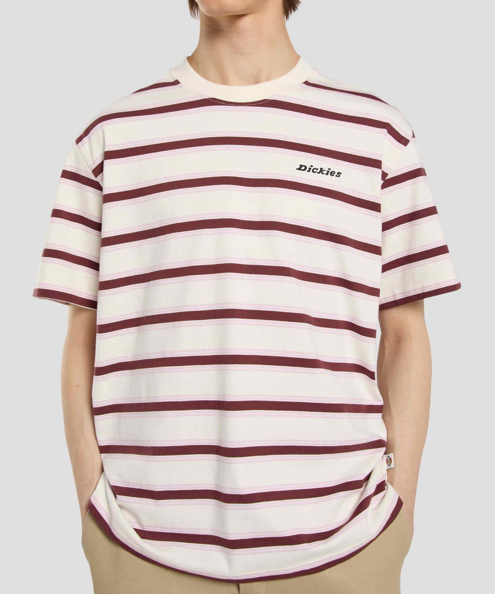 Stevensville Stripe Tee