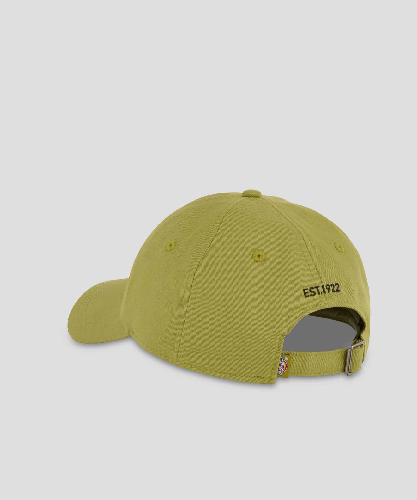 Essential Dad Cap