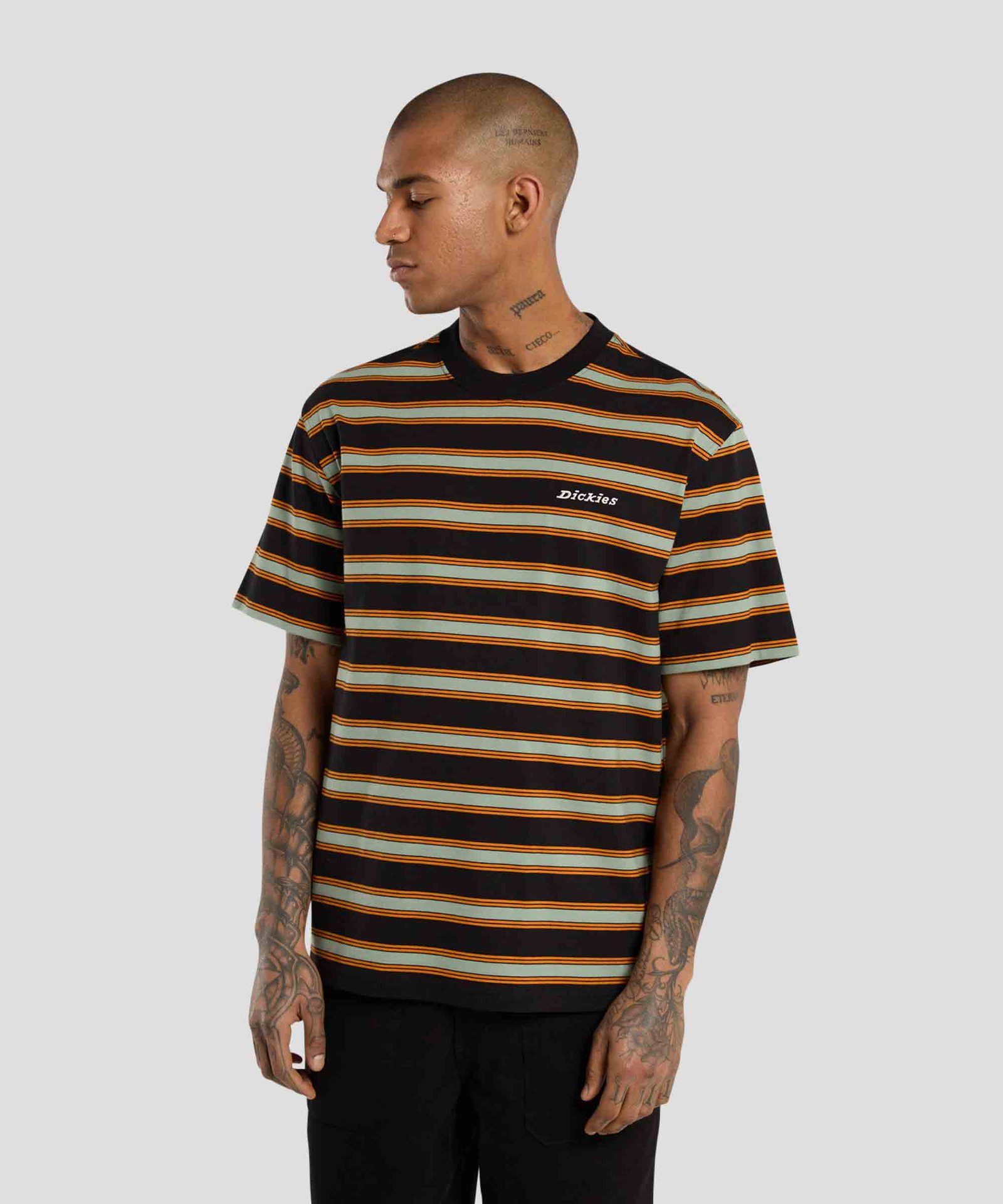 Stevensville Stripe Tee