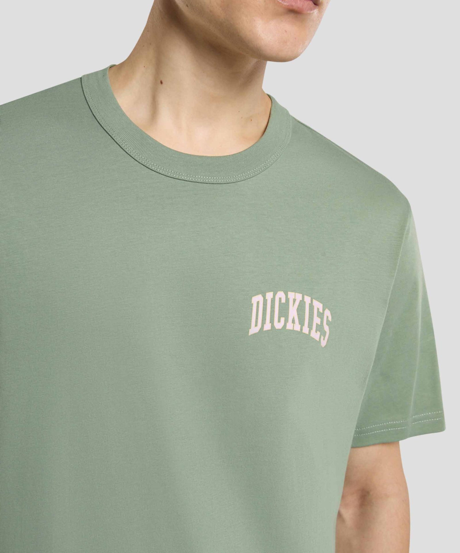 Aitkin Short Sleeve Chest Tee