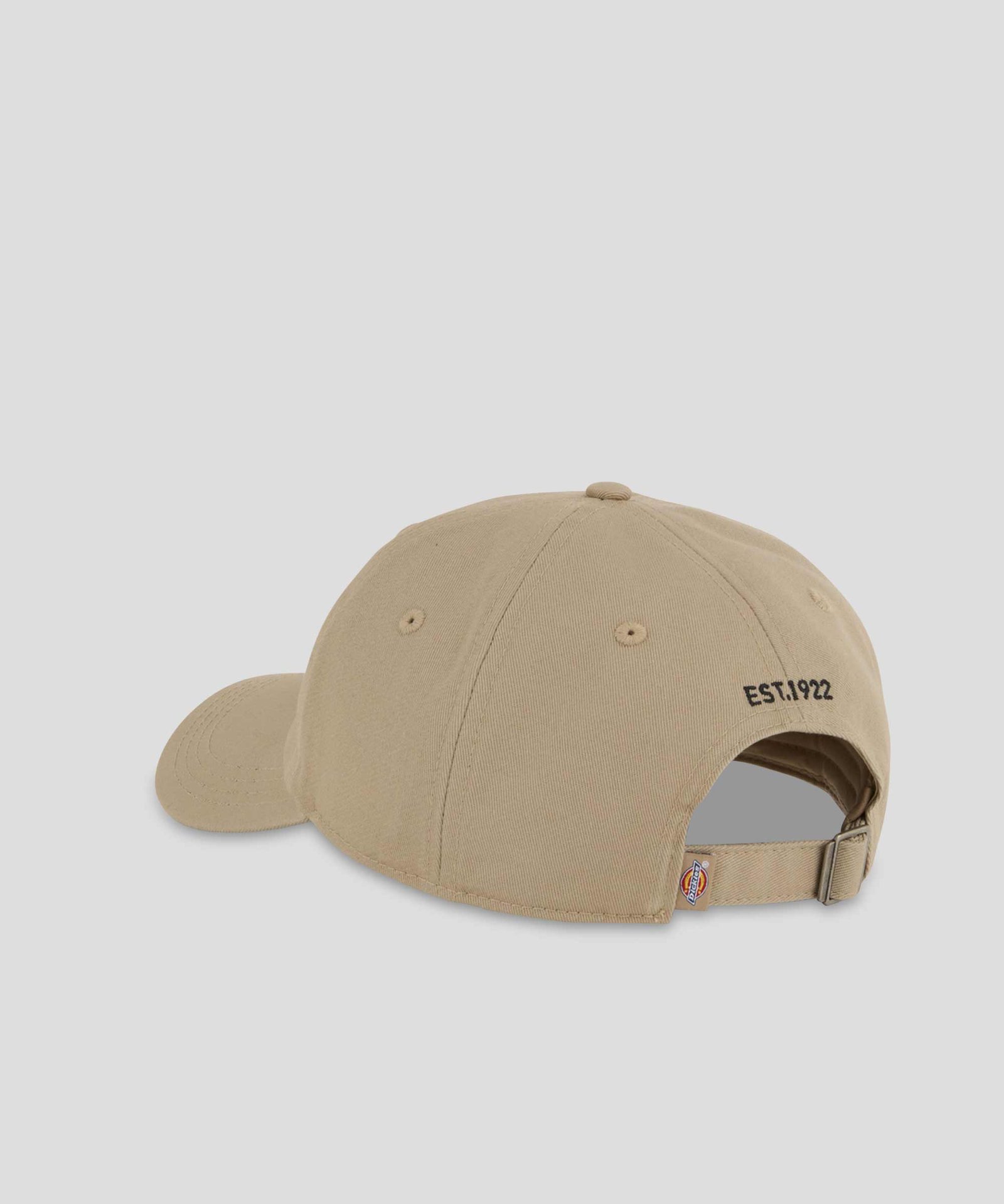 Essential Dad Cap